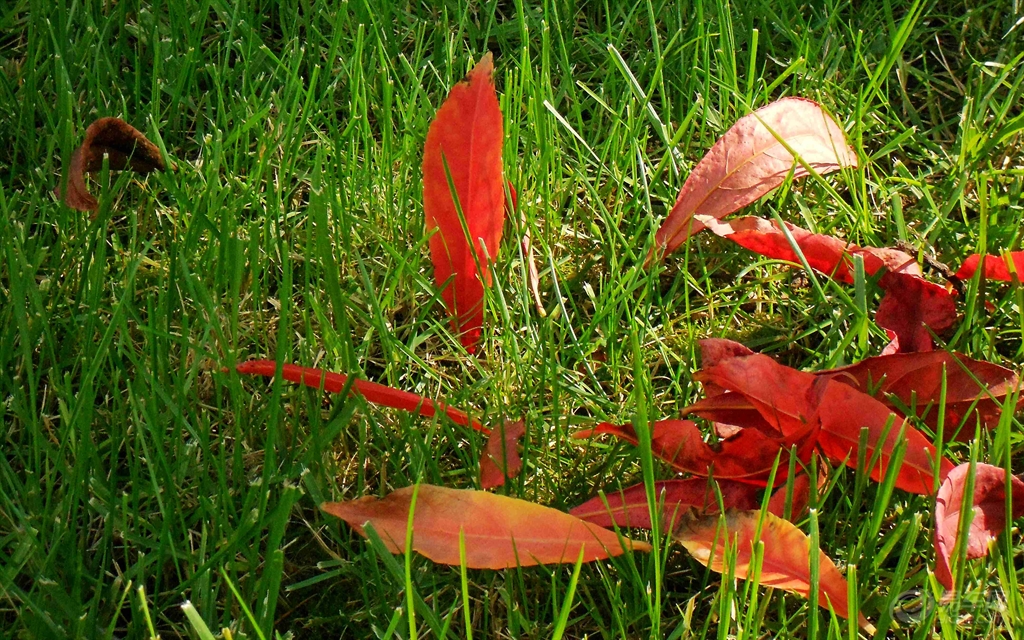 eab1690d1cd244bdb747108b7de0f3bb.jpg