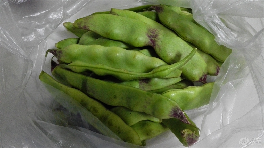 豆角怎么种才长得好 eb6f168818cc486592e6322ba0803ddd.jpg