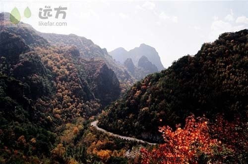 500_7a04b8b9-c61b-44a5-87ed-7ce45d227a83_700_0_max_jpg.jpg