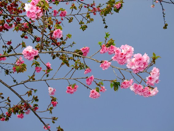 中华车友踏青游 教你如何换轮胎