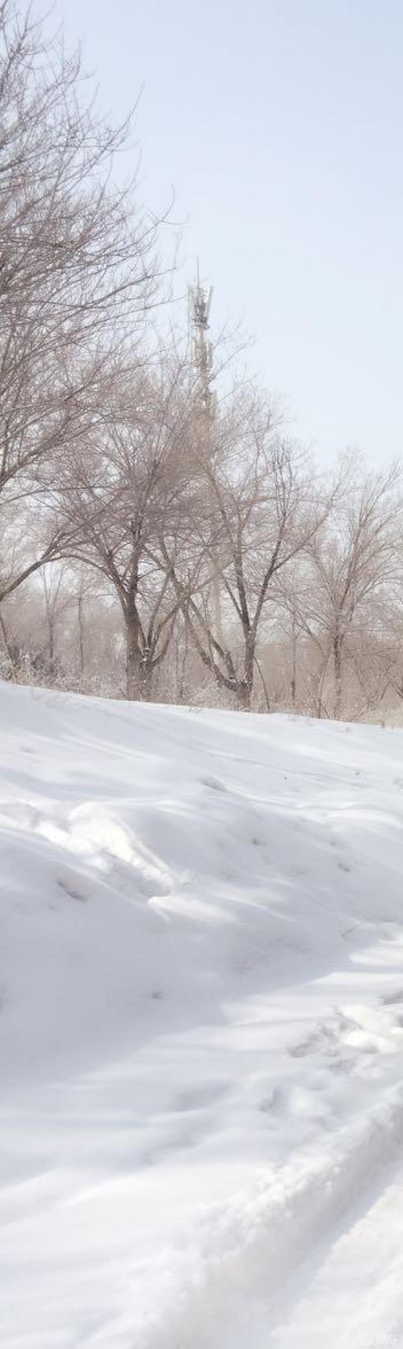 应对寒潮冰雪天气安全出行提示近日我国多地出现雨雪冻雨等恶劣天气