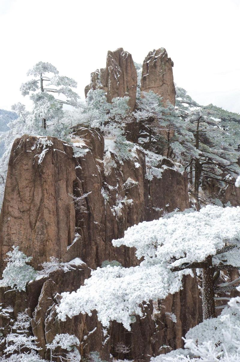 2020年冬摄黄山凇雪