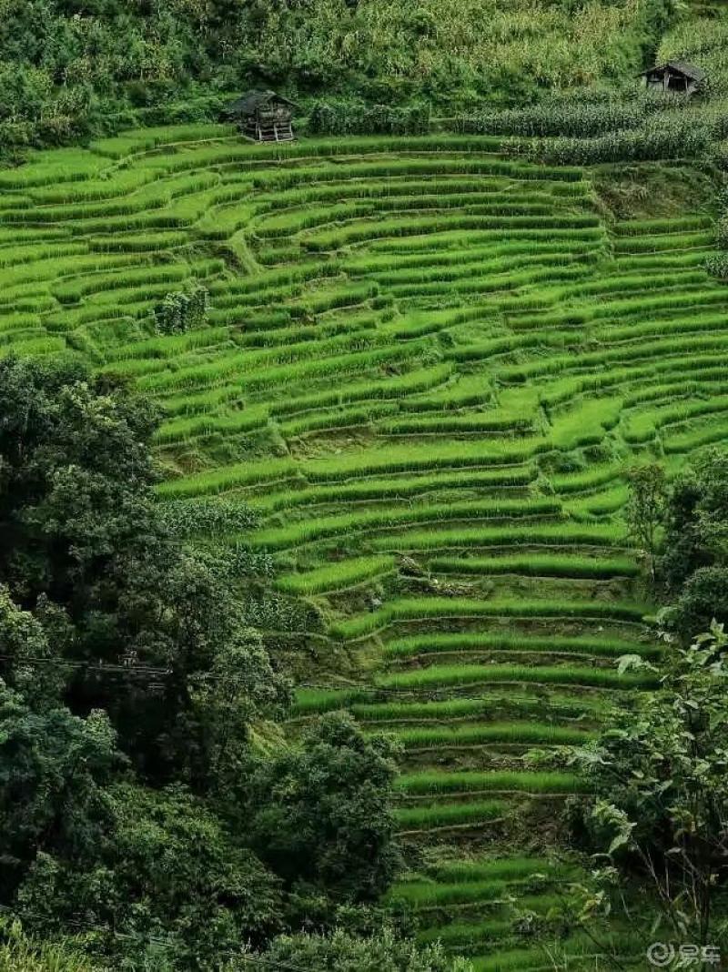 梯田美景_四川社区_易车社区