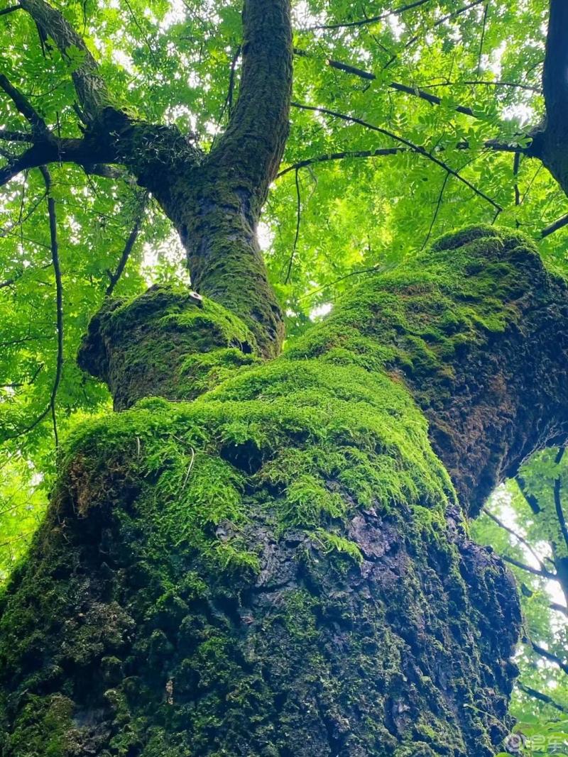 每日一帖#每日分享随拍风景