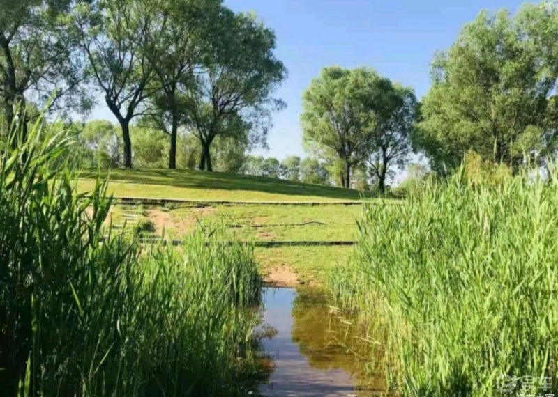 潇河湿地公园的恬静
