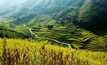 4米,晴日无云,极目可眺岳麓,洞庭,是古浏阳八景之一