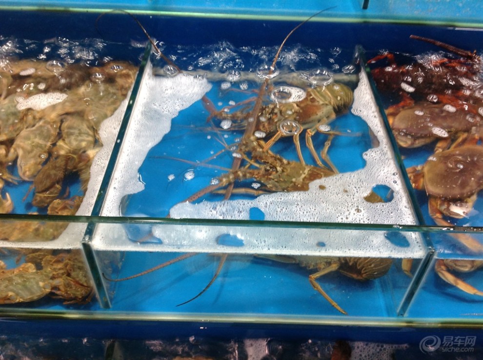海鲜大餐_海鲜干货_江阴海鲜(2)