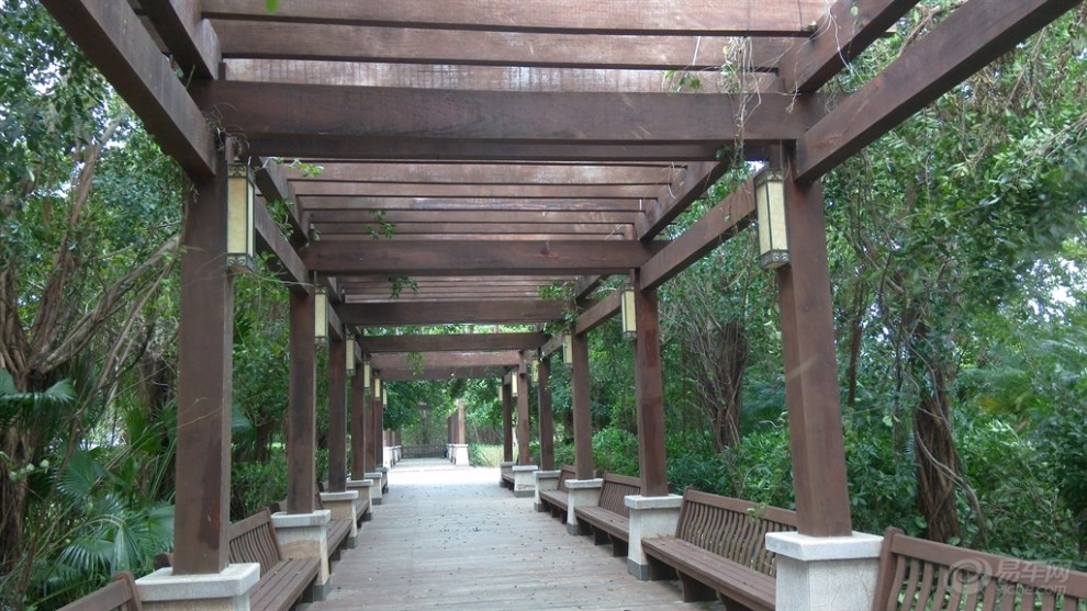 【【首发原创】单位组织去三亚旅游之四 海棠