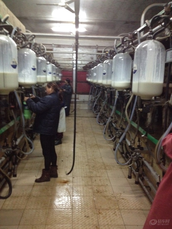 【【双十二巨献】你说奶牛有公的吗】_山东车