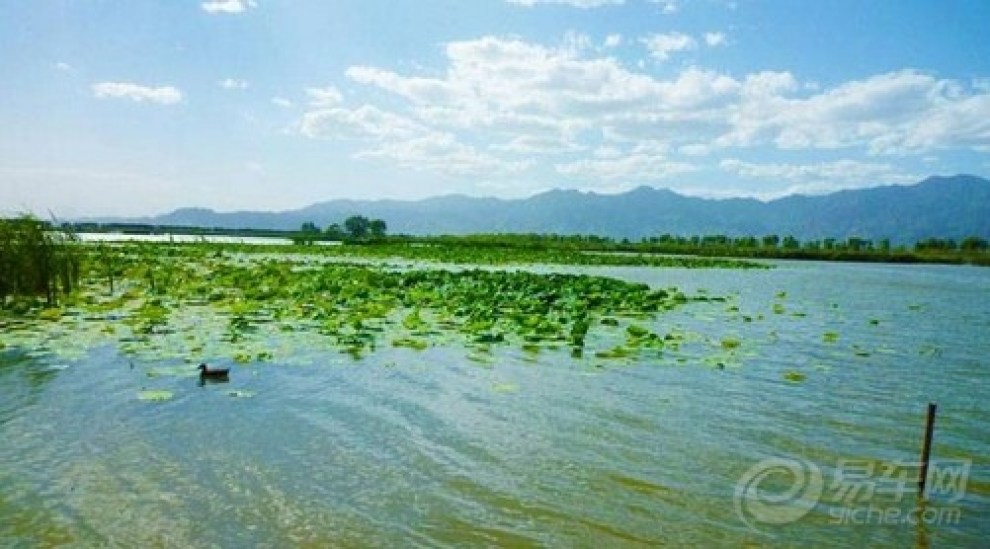 野鸭湖游玩攻略,野鸭湖游玩攻略一日游