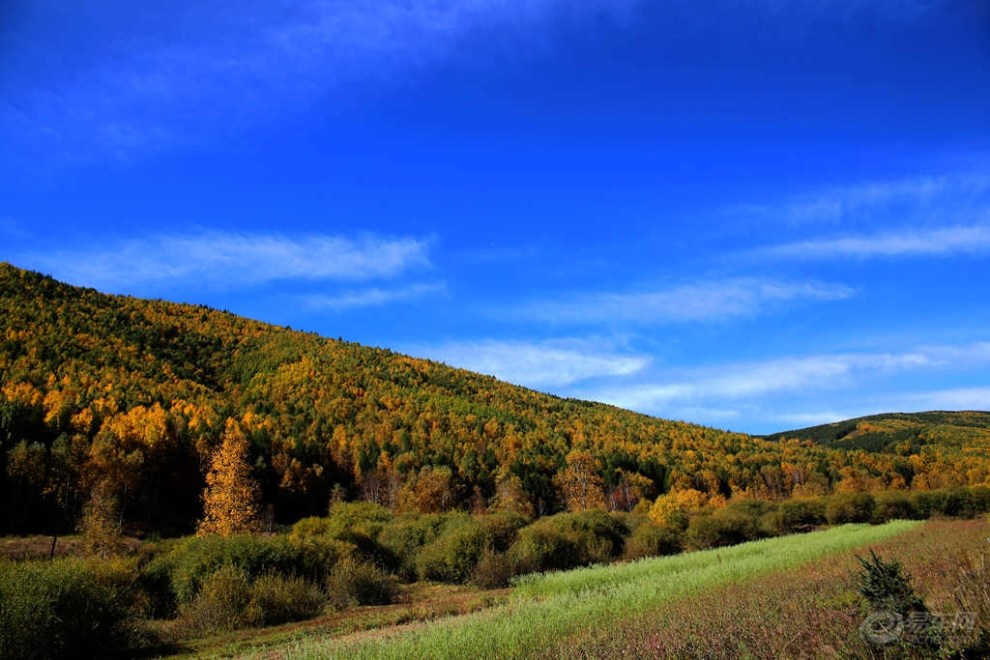 河北坝上四县gdp_河北坝上(2)
