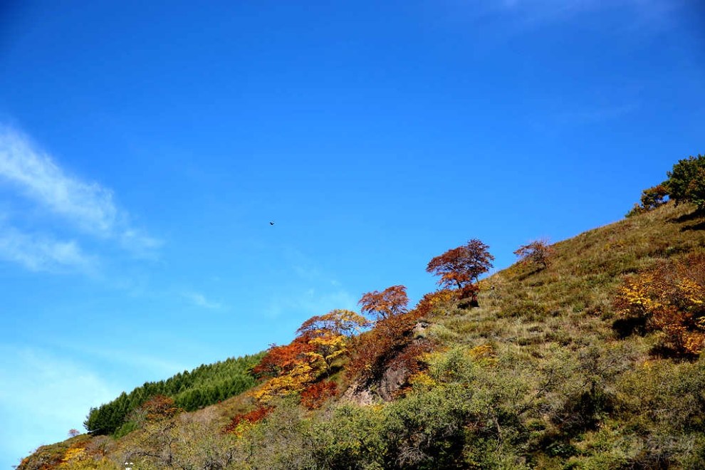 河北坝上四县gdp_河北坝上