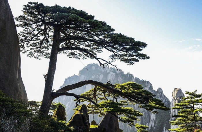 【【山西论坛贡献奖】美丽黄山】_山西车友会