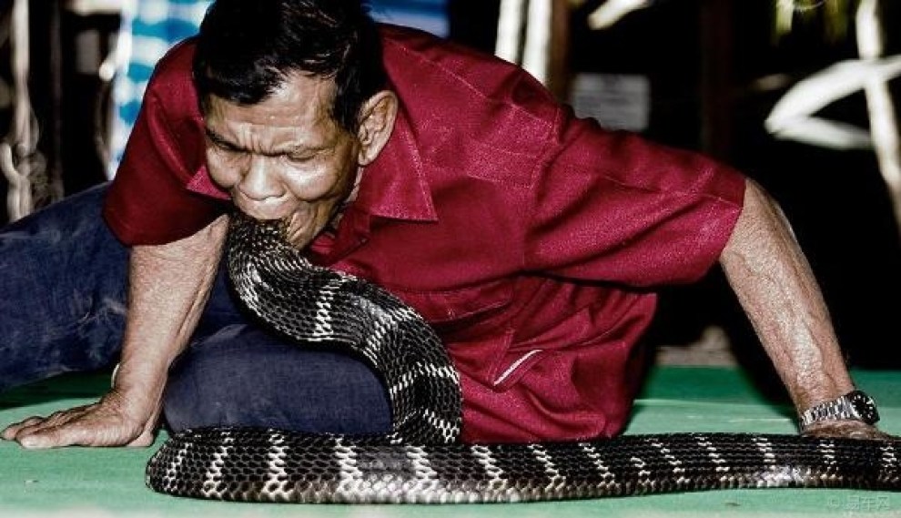【【奇闻】泰国曼谷眼镜蛇村 人人敢玩蛇】_湖