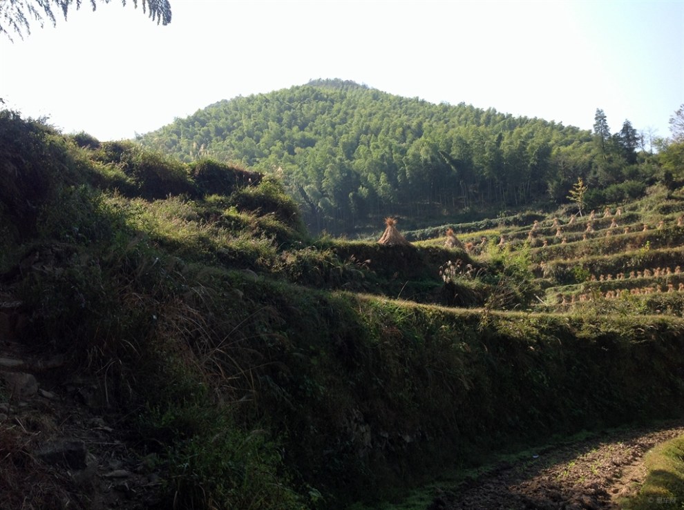 奉化竹林村游记