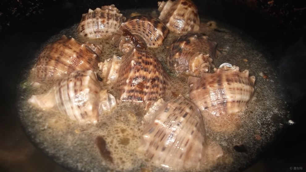 【【快乐厨艺】海螺和旮旯汤】_美食之旅论坛