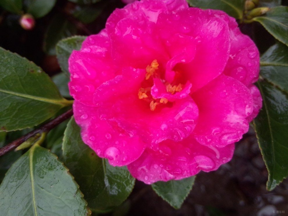 【到处逛逛】_吉利GX7论坛图片集锦