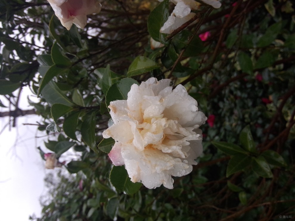 【到处逛逛】_吉利GX7论坛图片集锦