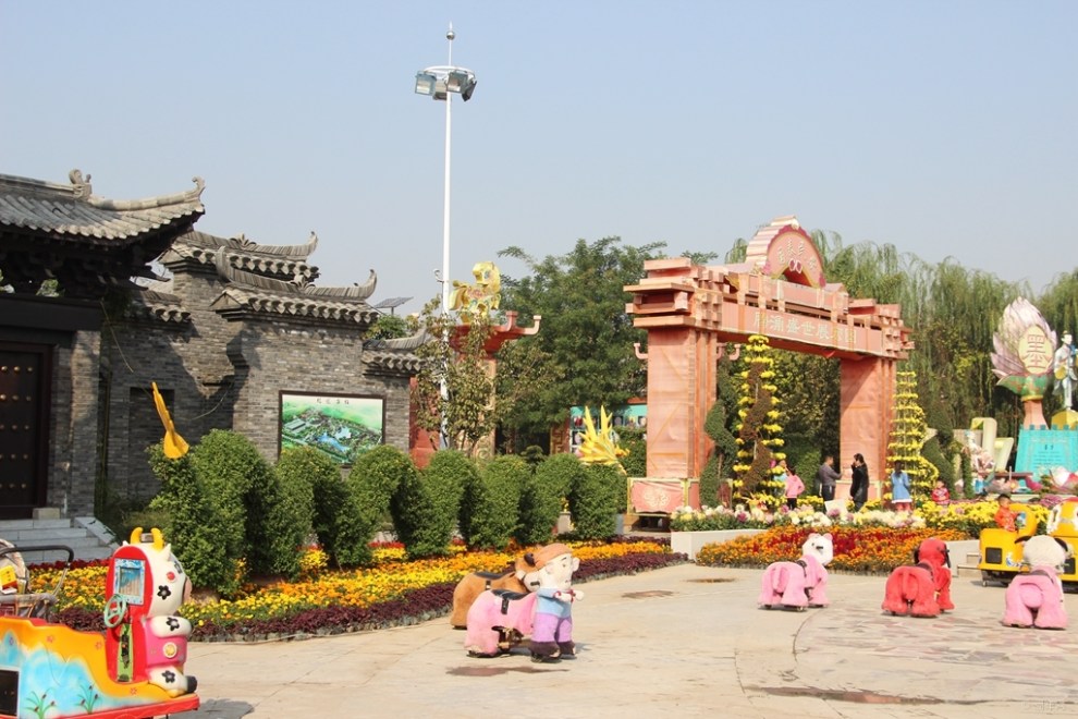 【【主题活动 我的家乡】逛龙园古镇 品菊花之