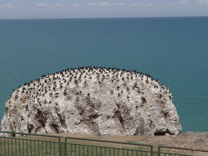 【【青海@六野俱乐部】坐着火车去鸟岛】_青