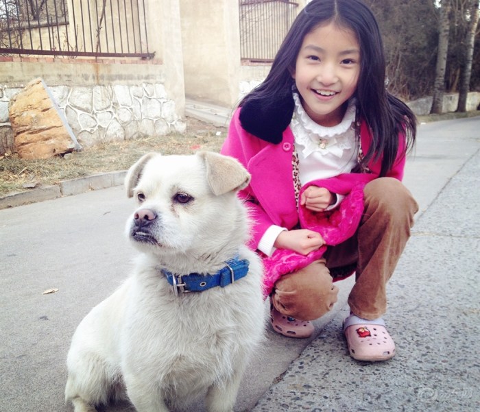 【【新年上新货】小<em>萌妹</em>与小萌狗】宠物<em>当家</em>论