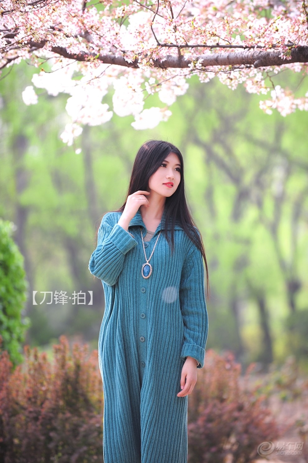 【【刀锋拍】花开花落花满天】_丽人风尚图片