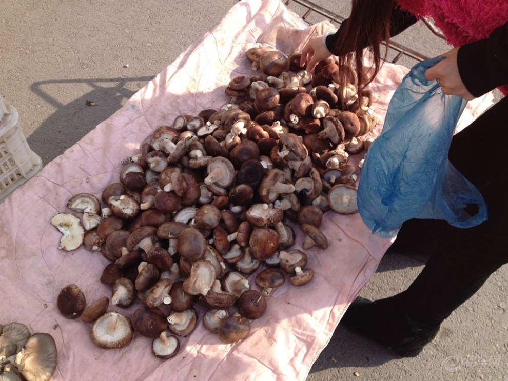 【【古都城堡原创】跟媳妇到长清八里赶大集①