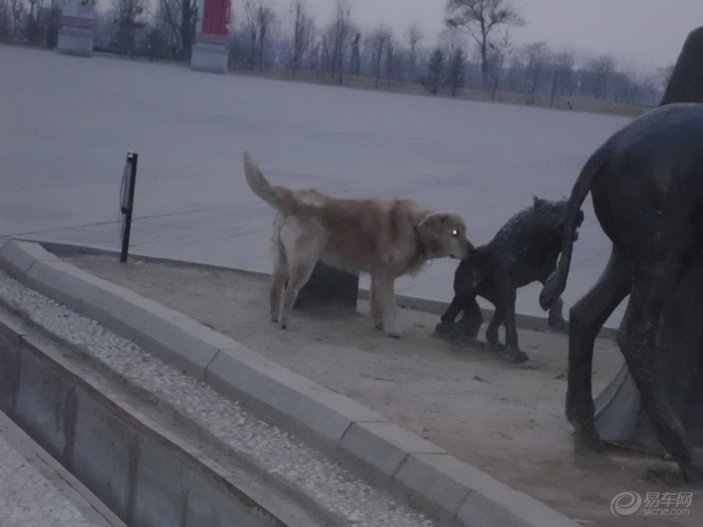 【衡水九州文化广场掠影(一)--中山狼传】_新赛