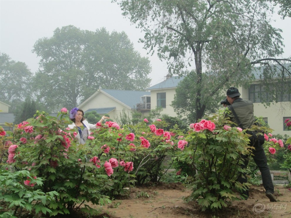 【走进国家牡丹园】_河南论坛图片集锦