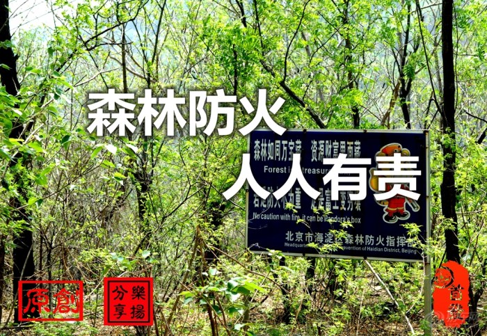 【【原创首发】森林防火人人有责】_湖南车友