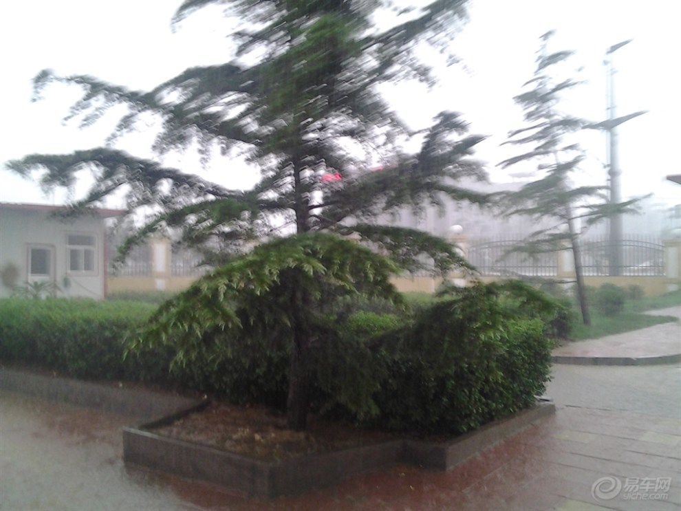【下雨了大雨磅礴啊】_河北论坛图片集锦