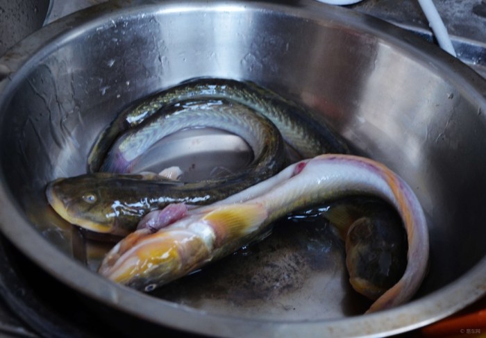 【【美味日志】家常酱海鲶鱼】_美食之旅论坛_汽车论坛-易车网