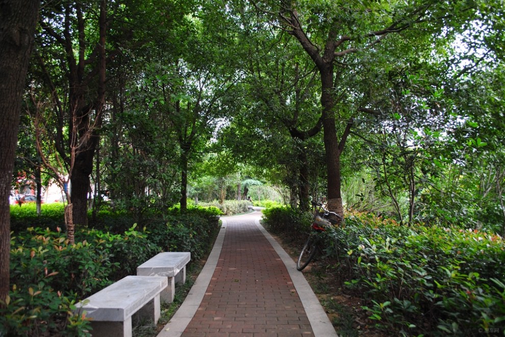 【小南风吹起河面清爽转过东岸游园继行】_安