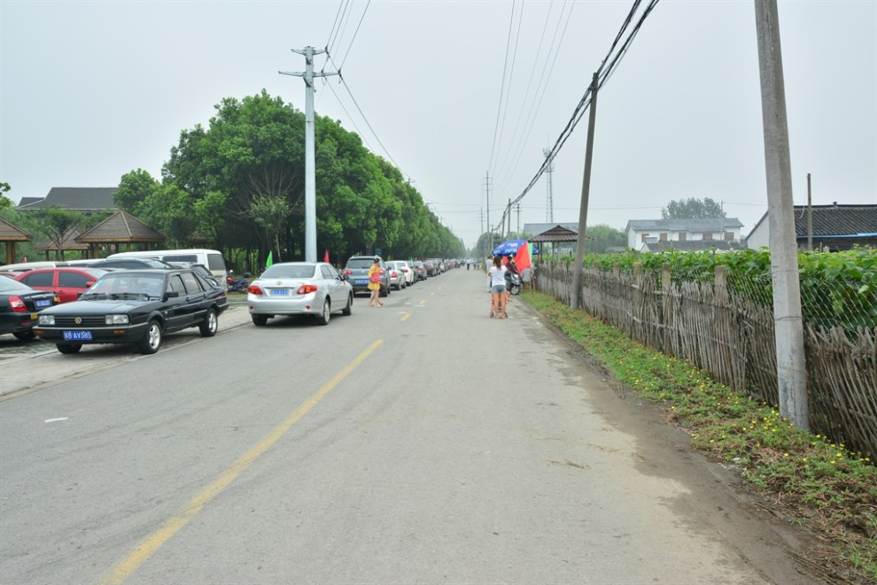 【【无锡车友会】带女儿做义工之鸿山葡萄节义