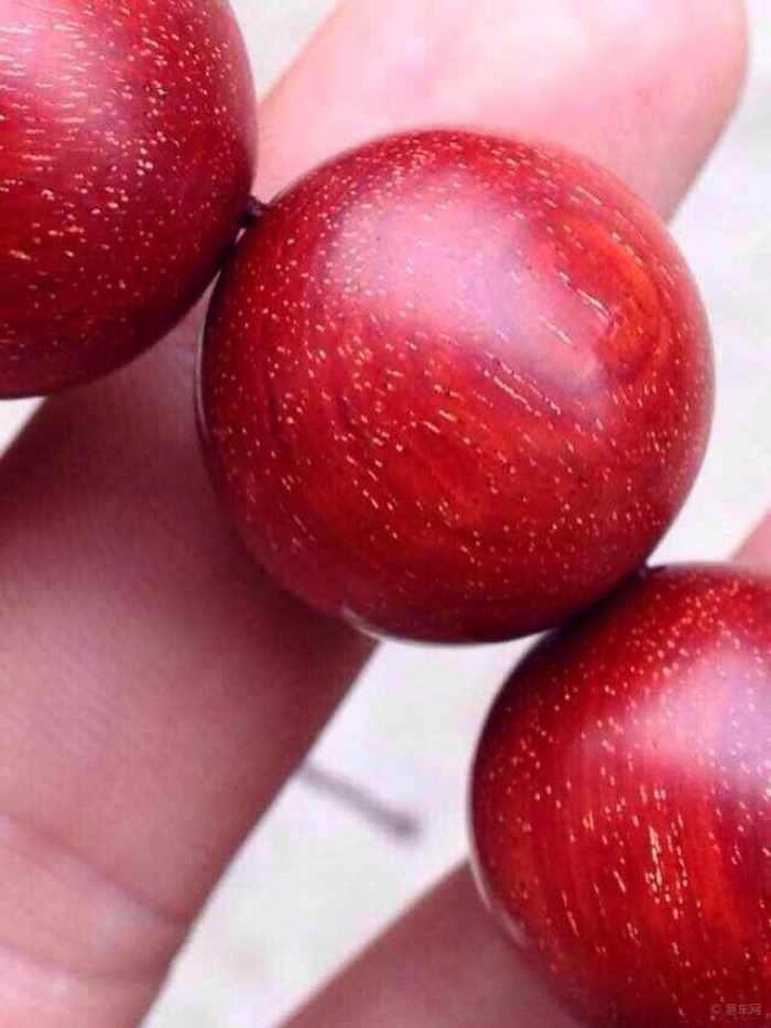 【车友开开眼---斧头帮疯狂抢紫檀柳附图】_山