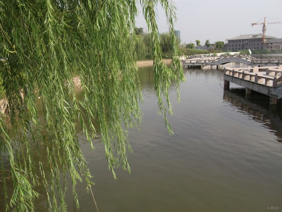 【小桥流水垂柳依依】_安徽论坛图片集锦