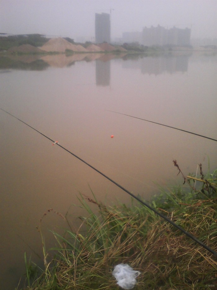 【钓鱼就像炒股一样,肯定不会每天都喂鱼的】