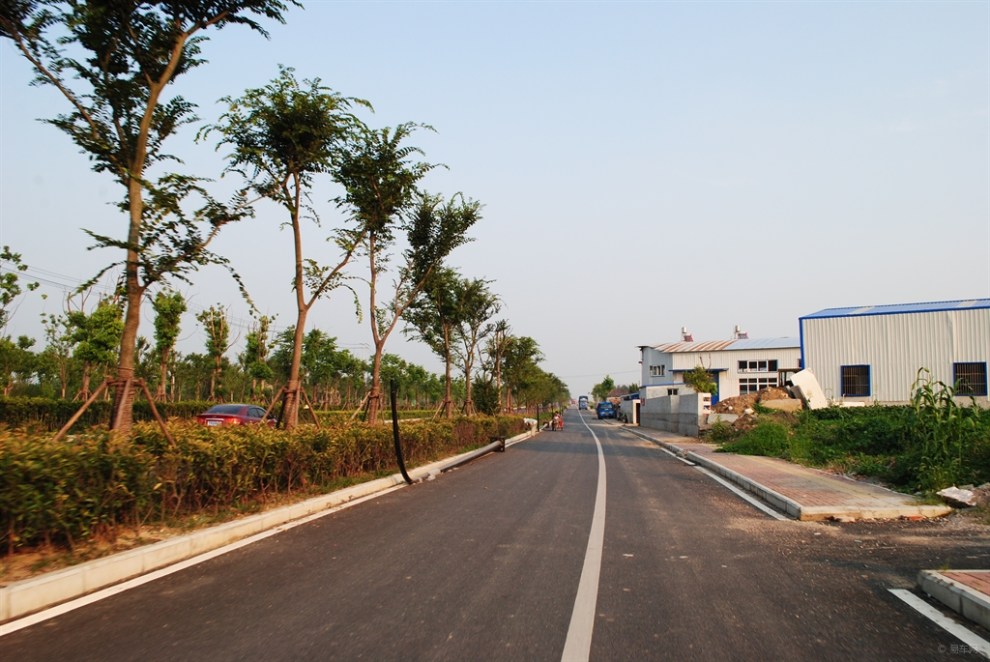 店忠路撮镇东段道路行记录风光景观