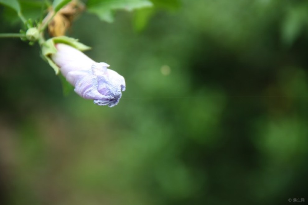 【向前进向前进】_安徽论坛图片集锦