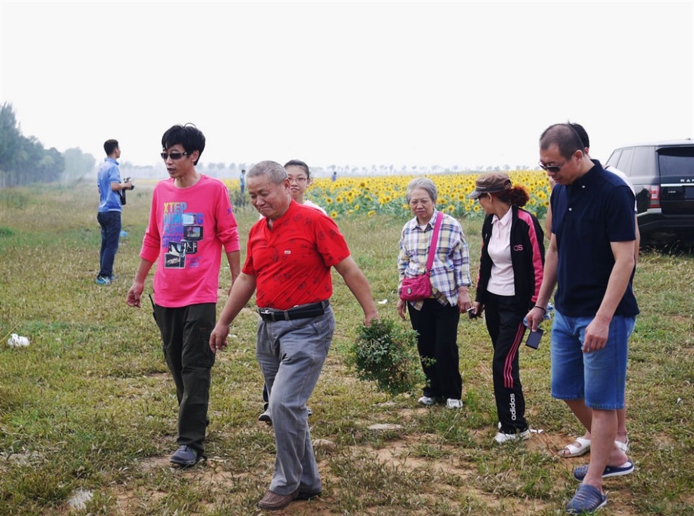【【锦州车友联盟】9.13滨海新区千亩向阳花海