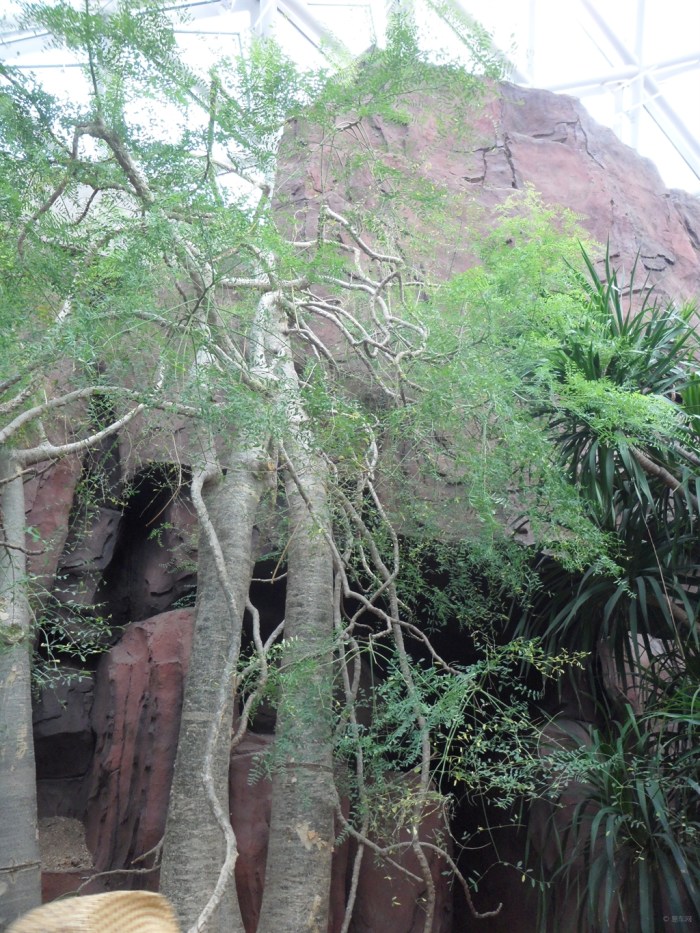 【【每日图鉴】青岛世园会3】_山东车友会_汽