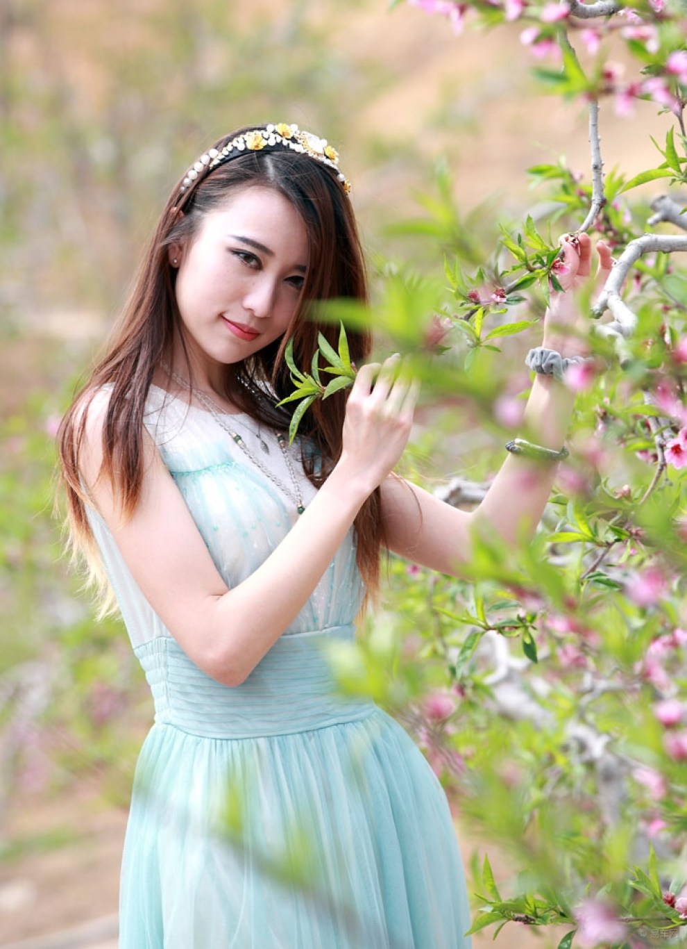 桃花岛上有美女