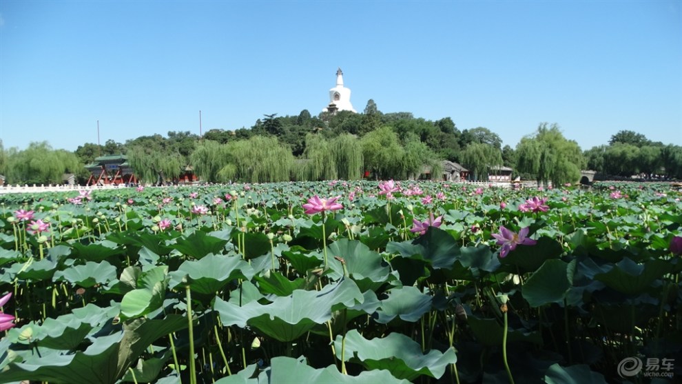 【【游记】夏日游北京北海公园】_新赛欧论坛