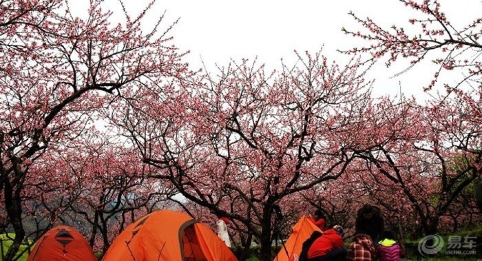 【水果之乡九峰山】_逍客论坛图片集锦