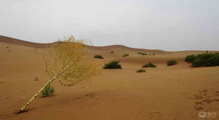 一景】第93期 库布齐沙漠,沙丘中记载着历史的