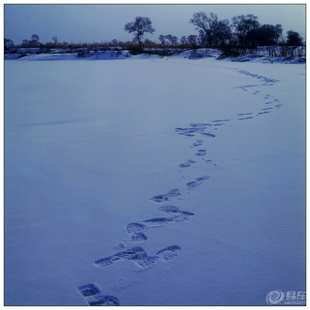 【【我眼中的冬日情怀】xxxxx】_摄影论坛图片