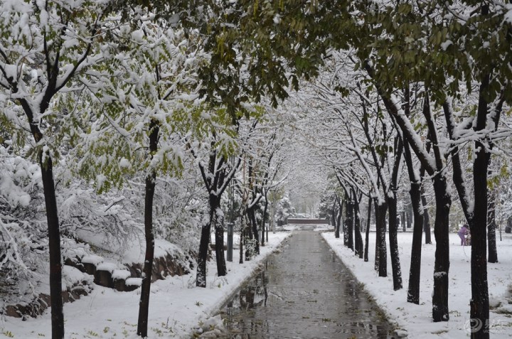 【【同城翼会】再赏雪景】_山西车友会