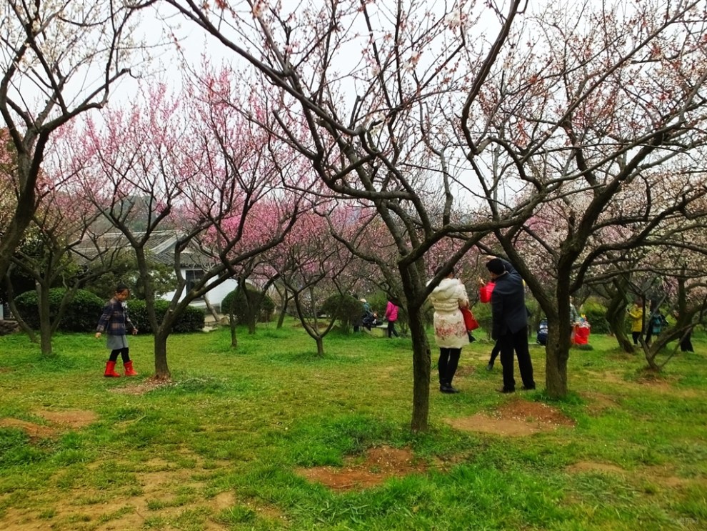 【【春暖花开】春天里的美景】_英朗论坛图片