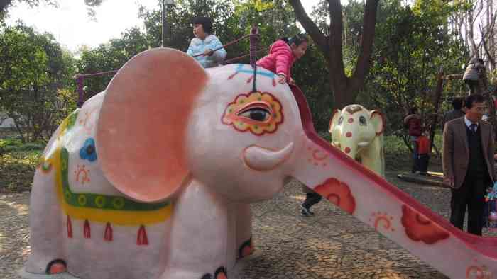 【【渝3月主题】公园里的元宵节】重庆论坛论