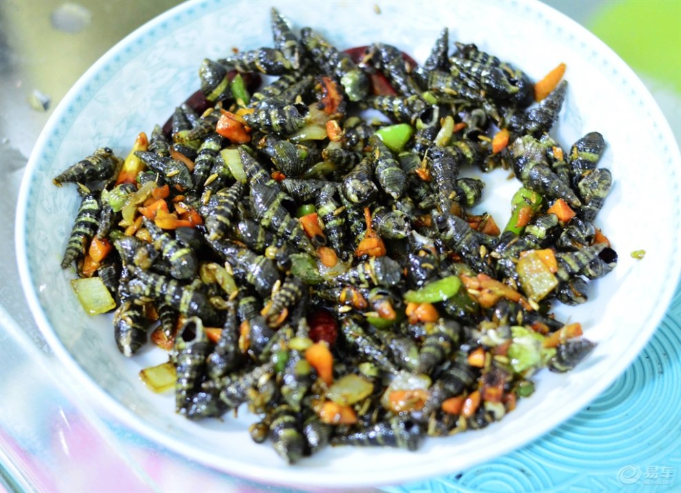 【随枫而去家的密制炒海锥】_宁夏论坛图片集